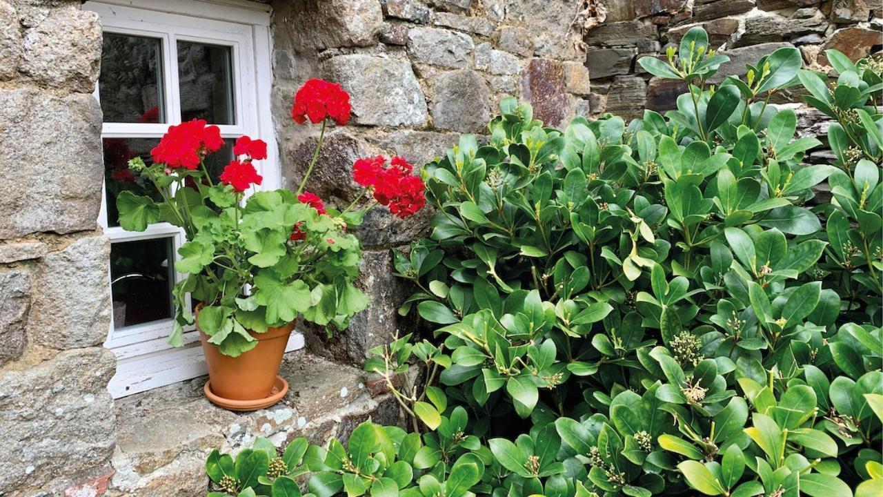 Manoir De La Begaudiere Mont-Dol